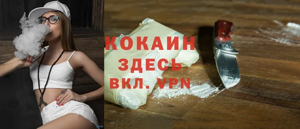 хмурый Арсеньев