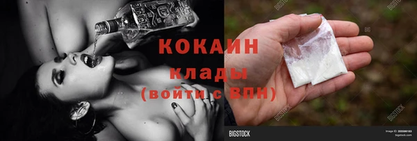 хмурый Арсеньев