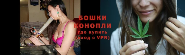 сатива Аркадак