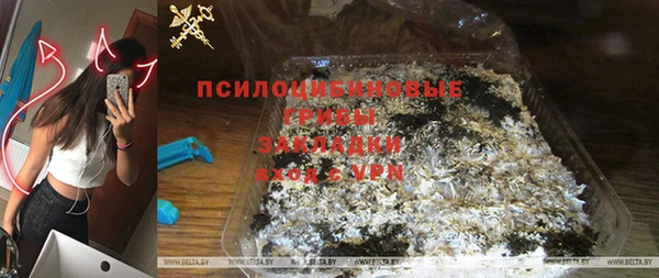 сатива Аркадак