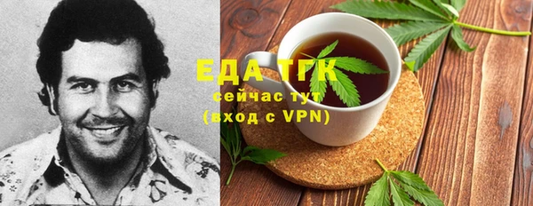 хмурый Арсеньев