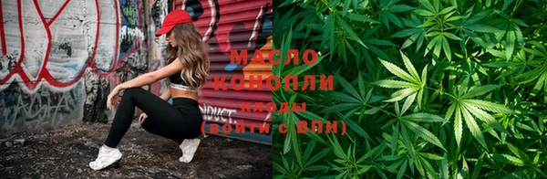 хмурый Арсеньев