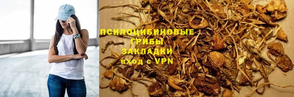 сатива Аркадак