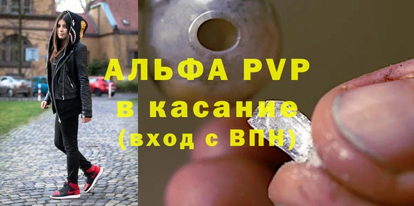 хмурый Арсеньев