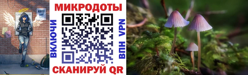 Псилоцибиновые грибы GOLDEN TEACHER  магазин  наркотиков  Белогорск 